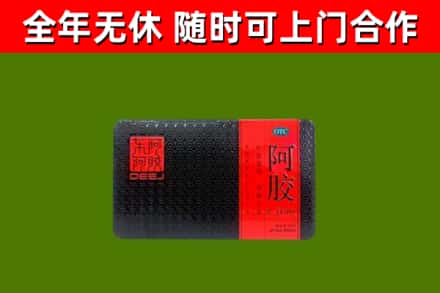 修武县回收阿胶